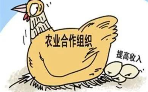 農業(yè)農村部關于加快發(fā)展農業(yè)社會化服務的指導意見