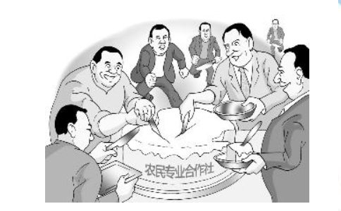 關于加快發(fā)展農業(yè)社會化服務的指導意見